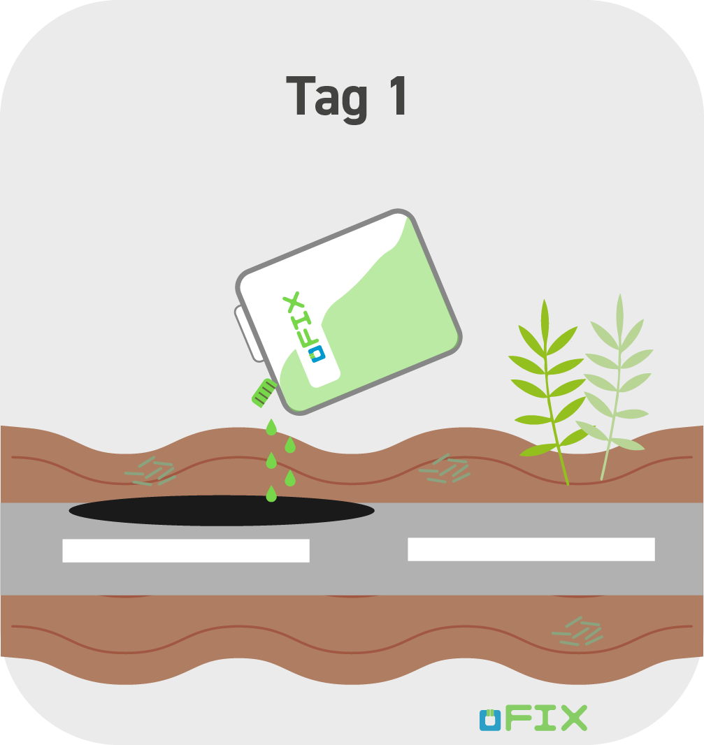 öFIX - Prinzip_Tag1 öFIX - Prinzip_Tag1